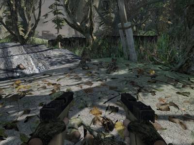 Crysis:Zone of the Death