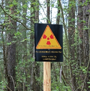Правительство Беларуси исключило 203 населенных пункта из зоны радиоактивного загрязнения